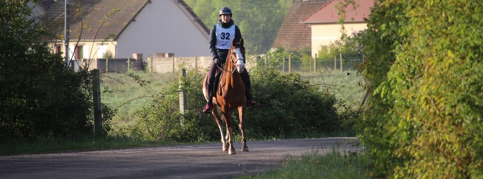 Qualification réussie sur CEN** 2x70 km pour notre étalon ES KHLASSIC JUNE !